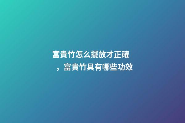 富貴竹怎么擺放才正確，富貴竹具有哪些功效